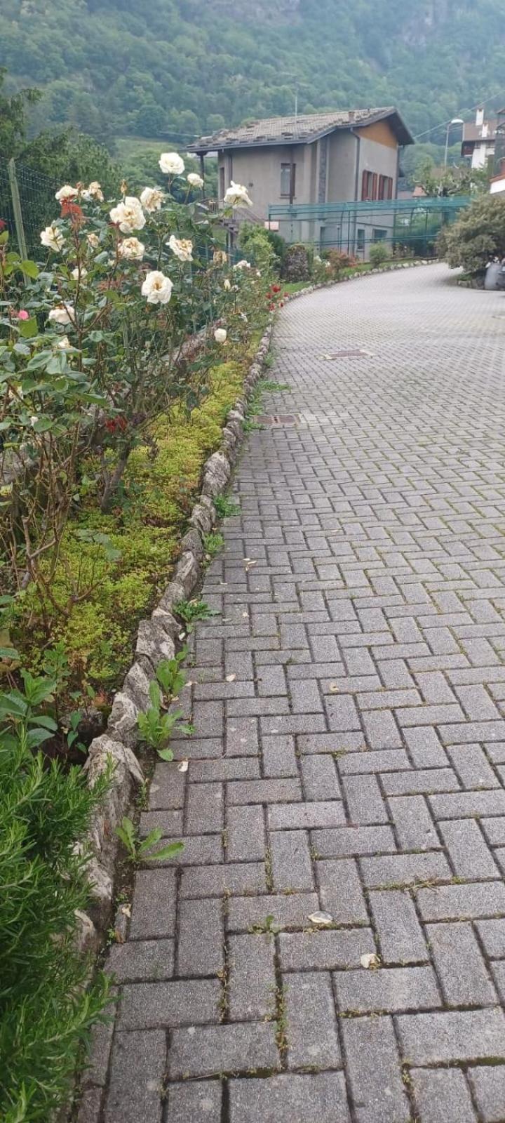 Casa Di Sofia E Oscar Lago Di Como Canzo Exterior foto